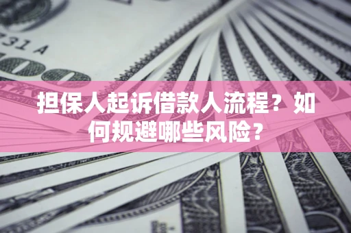 北京担保人起诉借款人流程？如何规避哪些风险？
