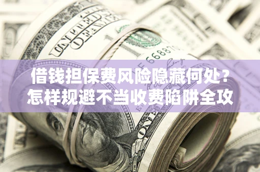 北京借钱担保费风险隐藏何处？怎样规避不当收费陷阱全攻略！