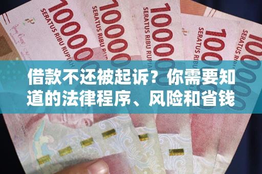 北京借款不还被起诉？你需要知道的法律程序、风险和省钱技巧