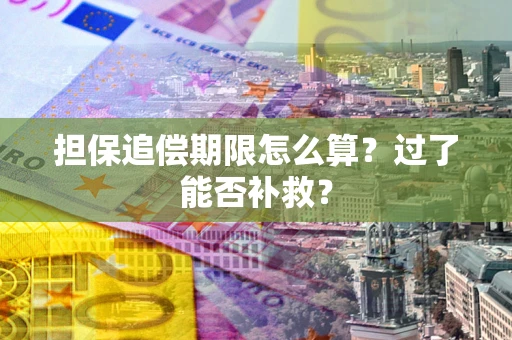 北京担保追偿期限怎么算？过了能否补救？
